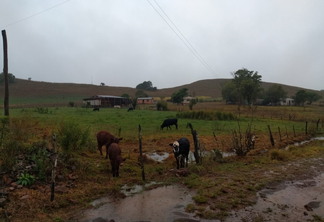 São previstos acumulados em torno de 32mm sobre grande parte do extremo-sul gaúcho. | Foto: Larissa Schäfer/Destaque Rural São previstos acumulados em torno de 32mm sobre grande parte do extremo-sul gaúcho. | Foto: Larissa Schäfer/Destaque Rural