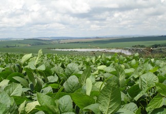 Foto de lavoura de soja em frente a açude e sistema de irrigação.