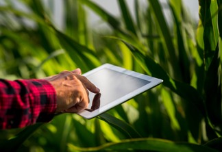 Foto de mão tocando em tablet em meio a uma lavoura.