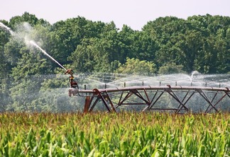 Foto de irrigação em lavoura de milho.