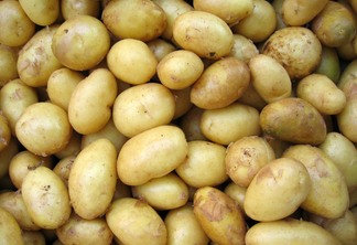 Foto de batatas brancas.