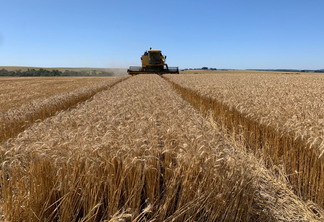 Foto de colheitadeira em lavoura de trigo.
