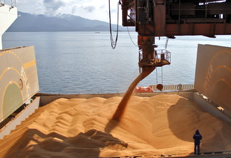 A foto mostra grãos de soja sendo despejados em um compartimento de um navio