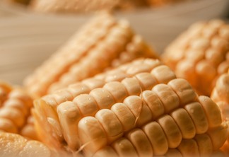 A foto mostra espigas de milho