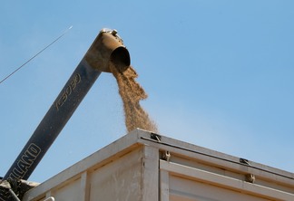 Foto de cano de descarga de colheitadeira despejando grãos de trigo em caminhão.