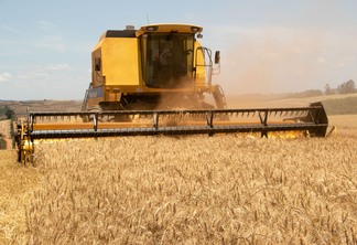 Foto de colheitadeira amarela durante colheita em lavoura de trigo.