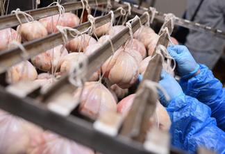 Mãos de um funcionário de uma fábrica de processamento de carne preparando iguarias de carne de porco. Mãos de um funcionário de uma fábrica de processamento de carne preparando iguarias de carne de porco.