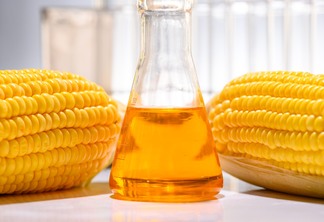 Foto de duas espigas de milho ao lado de frasco com biocombustível amarelado.