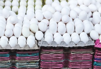 A foto mostra vários ovos brancos em bandejas