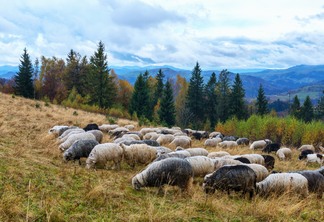 O domingo será com predomínio de sol e temperatura amena na maior parte da Região Sul | Foto: Envato O domingo será com predomínio de sol e temperatura amena na maior parte da Região Sul | Foto: Envato