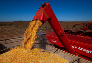 A expectativa é de que o Brasil exporte até 47 milhões de toneladas de milho neste ano | Foto: Wenderson Araujo/Trilux/CNA