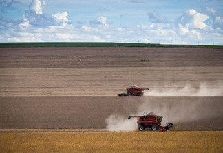 Imagem mostra duas colheitadeiras em área de soja