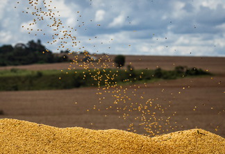 Imagem mostra grãos de soja sendo depositados em uma caçamba