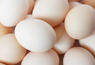 A foto mostra alguns ovos brancos