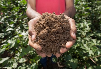 Imagem mostra mãos masculinas segurando uma porção de solo, em uma lavoura