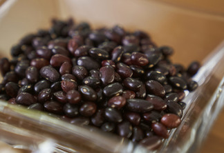 os feijões azuki são pequenos, vermelhos, ricos em nutrientes e de fácil digestão