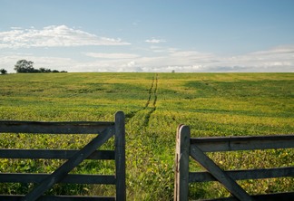 A foto mostra uma porteira de madeira envelhecida aberta, e um campo verde ao fundo e poucas nuvens no céu azul