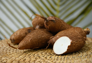 Tubérculo orgânico de mandioca cru em bandeja de vime e folhas de palmeira.
