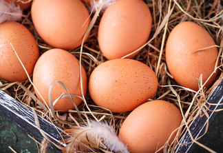 Preço dos ovos recuam nesta segunda quinzena, aponta Cepea