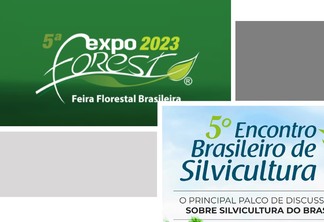 5ª Semana Florestal Brasileira será realizada em agosto em São Paulo