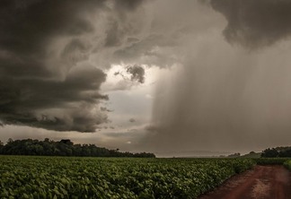 Prognóstico indica chuvas mais frequentes e persistentes no trimestre - Foto: Fernando Dias