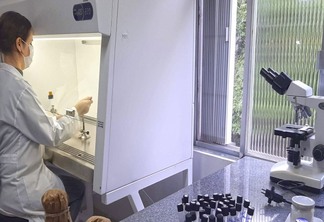Laboratório de Microbiologia Agrícola desenvolve pesquisas com inoculantes para leguminosas - Foto: Fernando Dias/Seapi
