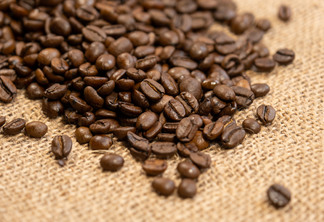 Foto: Divulgação Foto: Divulgação