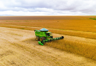 Cerca de 30% da produção brasileira de soja é cultivada em Mato Grosso - Foto por: Marcos Vergeiro/Secom-MT