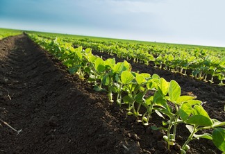 Foto: Datagro Foto: Datagro