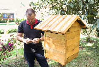 Indústria alemã, com sede no Paraná, abre espaço para criação de abelhas sem ferrão nas dependências da fábrica