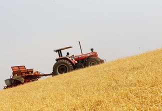 Avanços no plantio da safra 23/24 Avanços no plantio da safra 23/24