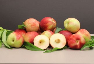 Foto: Paulo Lanzetta Foto: Paulo Lanzetta