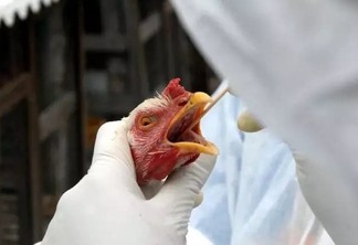 Imagem de divulgação Imagem de divulgação