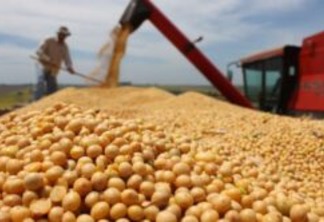 Soja Brasileira: Desafios e Tendências do Mercado Atual Soja Brasileira: Desafios e Tendências do Mercado Atual
