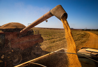 Colheitadeira descarregando soja em um caminhão. Colheitadeira descarregando soja em um caminhão.