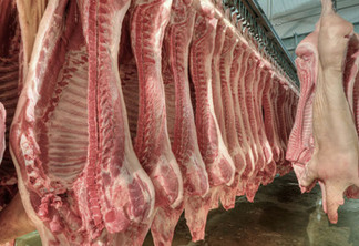 A foto mostra carcaças de suínos, carne suína