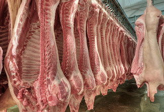 A foto mostra carcaças de suínos, carne suína A foto mostra carcaças de suínos, carne suína
