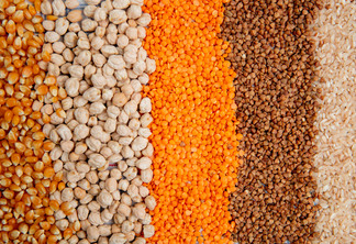 Diferentes sereais, milho, arroz, trigo, grãos de bico Diferentes sereais, milho, arroz, trigo, grãos de bico