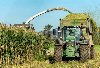 colheita de milho colheita de milho