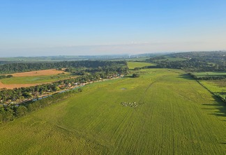 Vista panorâmica de gado de corte no município de Boituva, em São Paulo. Crédito: Mariana Grilli Vista panorâmica de gado de corte no município de Boituva, em São Paulo. Crédito: Mariana Grilli