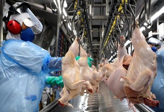 pessoa trabalhando em frigorífico de frango pessoa trabalhando em frigorífico de frango