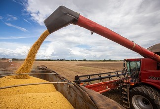 Foto de grãos de soja sendo despejados de colheitadeira para para caminhão.