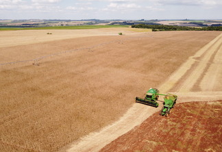 Colheita de Soja na Ipê Alimentos em São Luiz Gonzaga/RS
Foto: Leonardo Wink Colheita de Soja na Ipê Alimentos em São Luiz Gonzaga/RS
Foto: Leonardo Wink