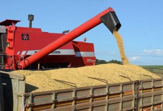 Foto de colheitadeira despejando grãos de soja.