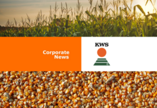 GDM adquire o negócio de milho da KWS no Brasil