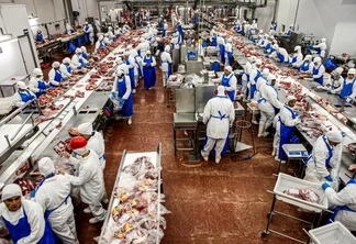 Trabalhadores processam gado abatido no abatedouro do Grupo Marfrig em Promissão (Paulo Whitaker/Reuters) Trabalhadores processam gado abatido no abatedouro do Grupo Marfrig em Promissão (Paulo Whitaker/Reuters)