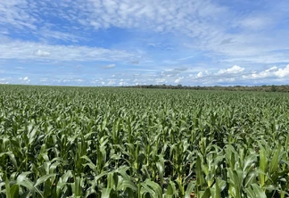 Fotos: Divulgação/Fundação MT Fotos: Divulgação/Fundação MT