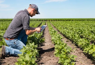 Foto de homem com boné ajoelhado sobre plantas de soja enquanto segura um tablet. Foto de homem com boné ajoelhado sobre plantas de soja enquanto segura um tablet.