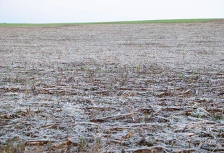 Foto de área agrícola coberta por geada. Foto de área agrícola coberta por geada.