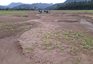 Foto de solo agrícola com poucas plantas. Foto de solo agrícola com poucas plantas.